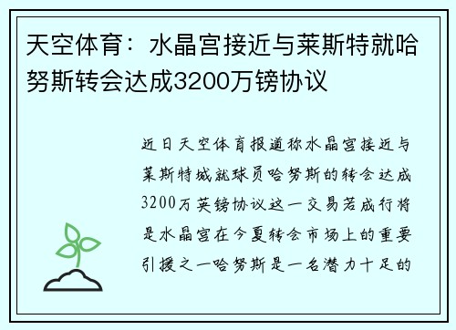 天空体育：水晶宫接近与莱斯特就哈努斯转会达成3200万镑协议